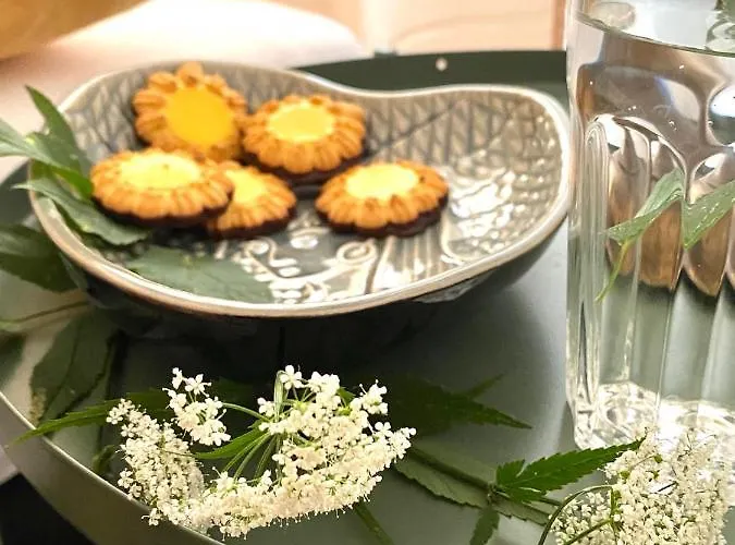 Hygge Monte Cassino 4 Lejlighed